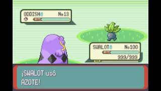 POKEMON EMERALD  SWALOT  AZOTE  FLAIL [upl. by Brandt]