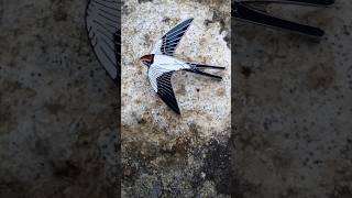 First Swallows of the year [upl. by Jojo]