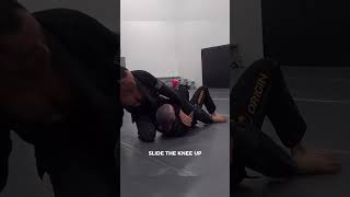 Arm Trap To Armbar from Mount  ROYDEAN [upl. by Karylin]