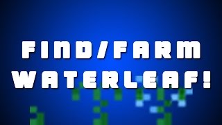 How to FindFarm Waterleaf in Terraria AndroidiOSPCConsole [upl. by Hakceber]