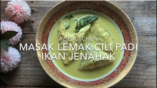 Masak Lemak Cili Api Ikan Jenahak [upl. by Eesyak328]