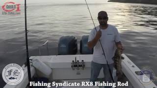 Fishing Syndicate RX8 Rod Meets Calico Bass [upl. by Dlarrej56]