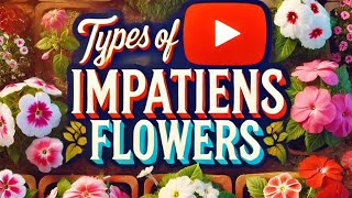 Types of impatiens flower for your Garden 🌿🏡😂ytvideo impatience gardening houseplant beautiful [upl. by Rehpotsihrc]