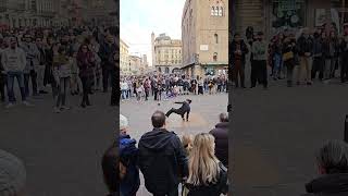 Remarkable Street Break Dance in Bologna Italy [upl. by Nefets610]