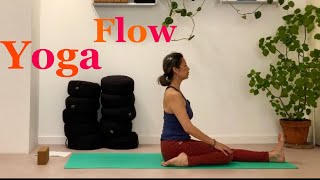 Vinyasa Yoga Flow30 minutes [upl. by Yanaton787]