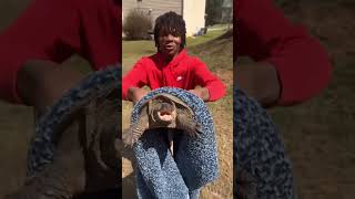 SaveTheTurtles 😂🤠 snap turtle country georgia woods creek funny meme lol dreads nike [upl. by Uzial]