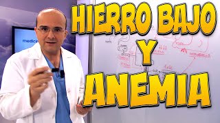 HIERRO BAJO y ANEMIA  Enfermedades 37 [upl. by Dej]