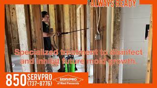 Complete Residential Mold Remediation Process  SERVPRO of West Pensacola [upl. by Ecarg]