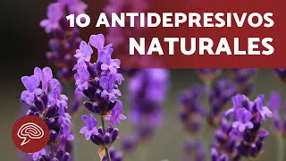 10 ANTIDEPRESIVOS NATURALES Potentes 💊🌿 Pastillas Naturales Plantas Medicinales y Alimentos [upl. by Gill947]