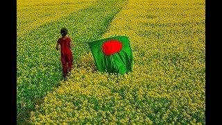 Amar Sonar Bangla Ami Tomai Valobashi Bangladesh National Song [upl. by Ahsym]