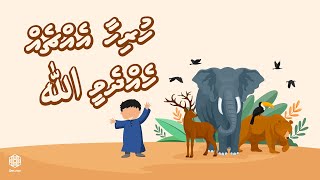 Hurihaa Ehcheh Heddhevee Allah  Song for Kids  Dhivehi [upl. by Keeryt]