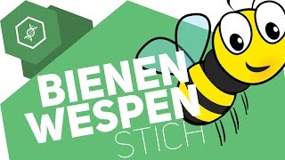 Bienenstich und Wespenstich  Unterschiede Besonderheiten und wer stirbt [upl. by Ahsiekit879]