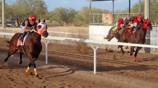 Carreras en el Hipodromo Los Mezquites 03 Noviembre 20242024 [upl. by Lenna108]