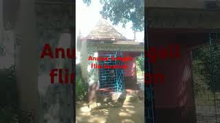 Anutap flim location newsong love youtube shorts [upl. by Brandwein743]