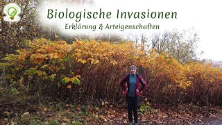 Biologische Invasionen 2 Wissenschaftliche Erklärungen  Arteigenschaften amp Mechanismen [upl. by Somisareg189]