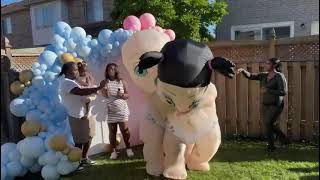 Best Gender Reveal Videos Full Video [upl. by Nueovas]