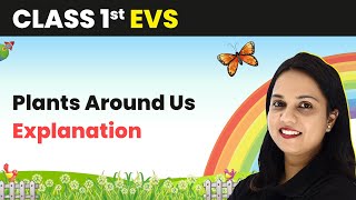 Class 1 EVS  Plants Around Us  Explanation [upl. by Eramat260]