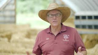 Joel Salatins Pastured Broilers Course Teaser Trailer [upl. by Thissa]