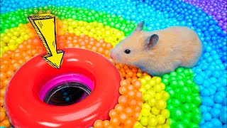 Hamster Escapes Prison Maze 🛑Live Stream [upl. by Llednek492]