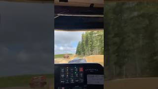 Trophy truck incar pov with Boston MorganHoran [upl. by Paresh]