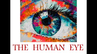 The human eye Anatomy part 1 Introduction and layers of the eye [upl. by Ashbey]