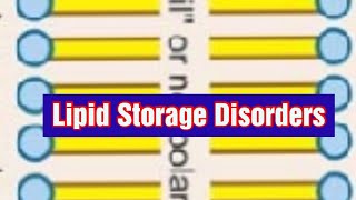 Lipid Storage Disorders Lipidosis Biochemistry [upl. by Arataj316]