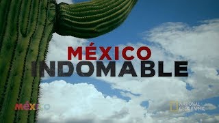 México Indomable Episodio 2 [upl. by Accissej306]