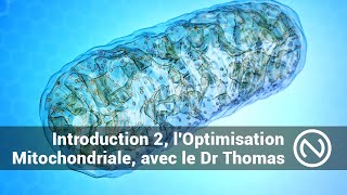 LOptimisation Mitochondriale avec le Dr Hervé Thomas  Introduction Partie 2 [upl. by Thorin351]