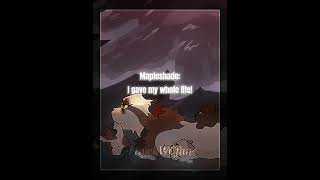 Mapleshade edit Dforyouwarriorcatseditwarriorcatsedit [upl. by Annaeg]