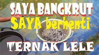 Saya BANGKRUT ‼️ Saya berhenti TERNAK LELE [upl. by Halak]