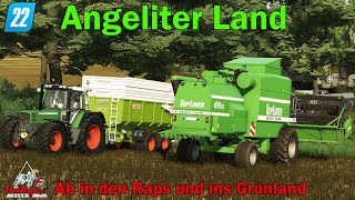 LS22  Angeliter Land  Ab in den Raps und ins Grünland  TrackIR 5 HD [upl. by Kimber]