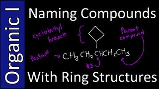 Naming Compounds with Ring Branches IUPAC Style  Organic Chemistry I [upl. by Naesyar]