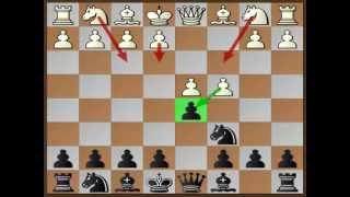 Chess Trap 10 Chigorin Defense [upl. by Ayekan]