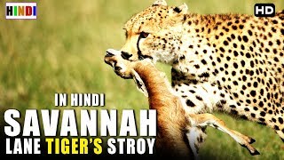 Animal Planet अब देखिये हिंदी में  Wild Life  Savannah Lane Story [upl. by Boyer]