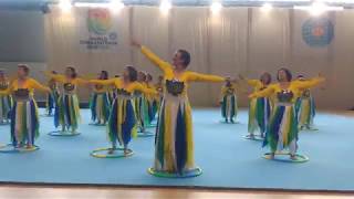 World Gymnaestrada 2019 BRA15 [upl. by Adnuahsor76]