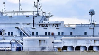 Autotransporter VIOLET ACE Emden RoRo car carrier C6XG3 IMO 9395630 [upl. by Cale]