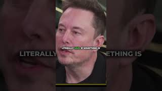 Elon DEFENDS the 1ST AMENDMENT [upl. by Alphonso]