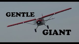 GIANT FMS DH2 Beaver V2 2000mm 787quot PNP Reflex gyro Combo Flight review by Pilot Robert [upl. by Emaj]