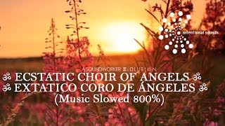 ॐ ECSTATIC CHOIR OF ANGELS ➠ EXTATICO CORO DE ÁNGELES ॐ [upl. by Attelliw]