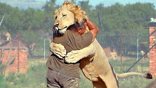 Animals Reunited With Owners After Years [upl. by Nongim]