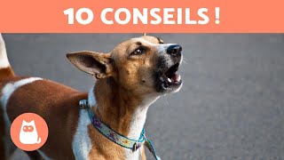 10 CONSEILS POUR EMPÊCHER un CHIEN de TROP ABOYER 🐶🔊❌ [upl. by Ahsial321]