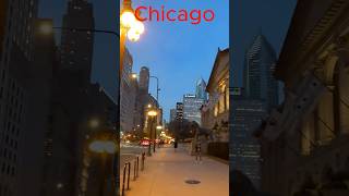 Vibrant and Beautiful Chicago shorts chicago [upl. by Nnayelhsa]