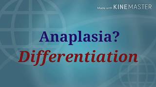 What is AnaplasiaLack of differentiationMedschool Microvlog 5 [upl. by Kleeman446]