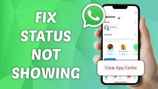 How to Fix Status Not Showing on WhatsApp [upl. by Tuppeny]