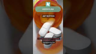 Amoxicilina  Sustancias en medicinas indicaciones y efectos secundarios PLM medicamentos [upl. by Marte]