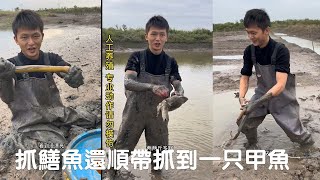 抓鱔魚還順帶抓到一只甲魚，和老板商量一下能不能把甲魚也給我們viralvideo 捕魚 [upl. by Halonna]