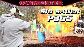 SIG SAUER P365  THE BEST CONCEALED CARRY GUN [upl. by Brawley]