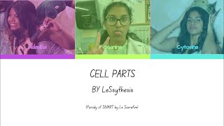 LE SSYNTHESIS  CELL PARTS ColorCoded Lyric Video [upl. by Andrei]