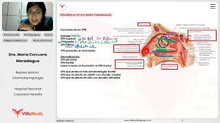 RINOLOGÍA PATE 1  OTORRINOLARINGOLOGÍA  VILLAMEDIC [upl. by Mallin854]