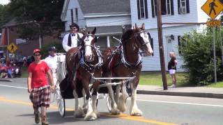 Stoughton MA 4th of July 2013 Parade complete HD [upl. by Mendez313]